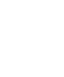 requirement-icon